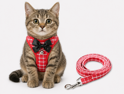 Adjustable Cat Harness With Leash – Soft Grid Chest Strap - PawPals