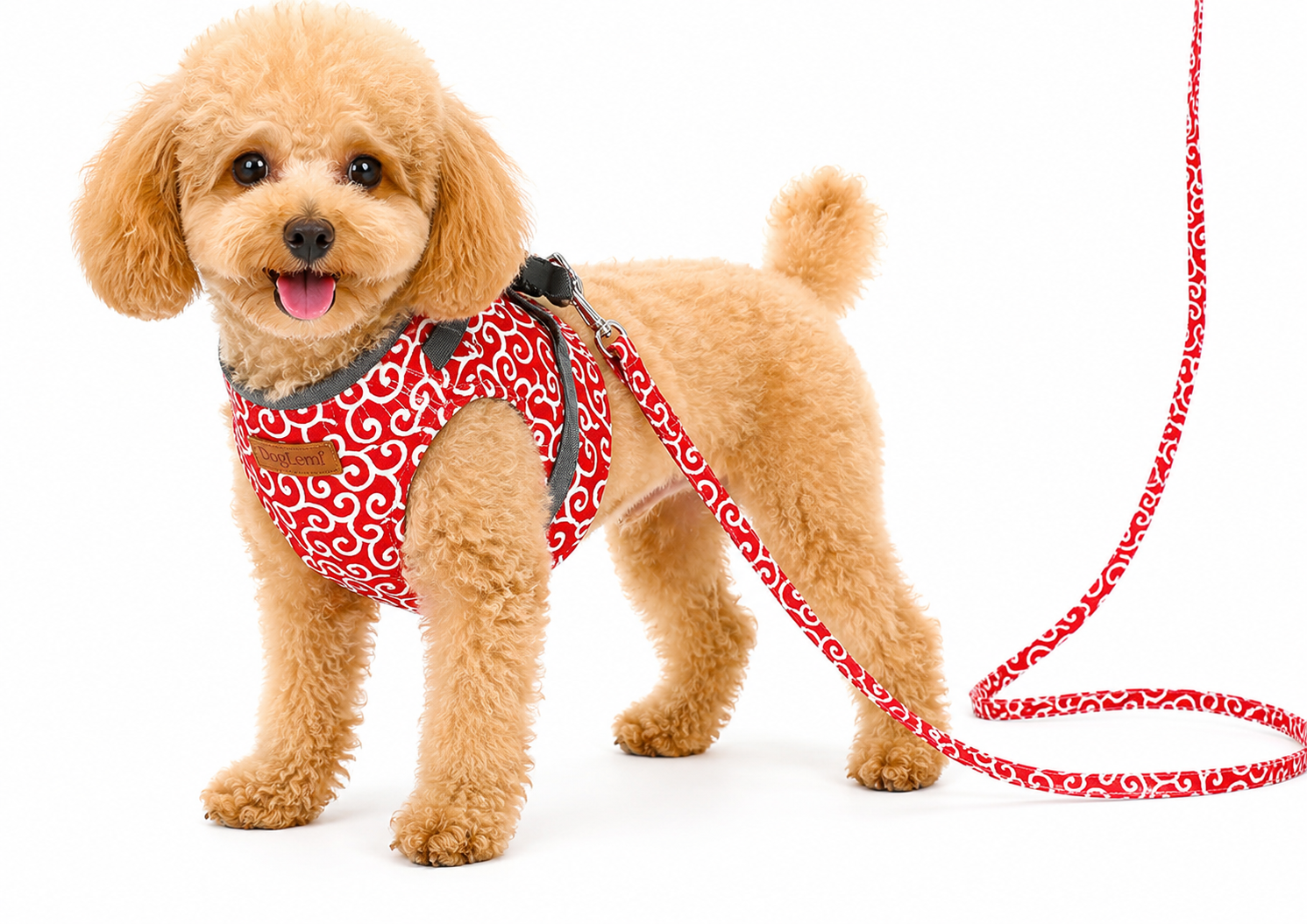 Cat And Small Dog Vest Harness With Leash Set - PawPals
