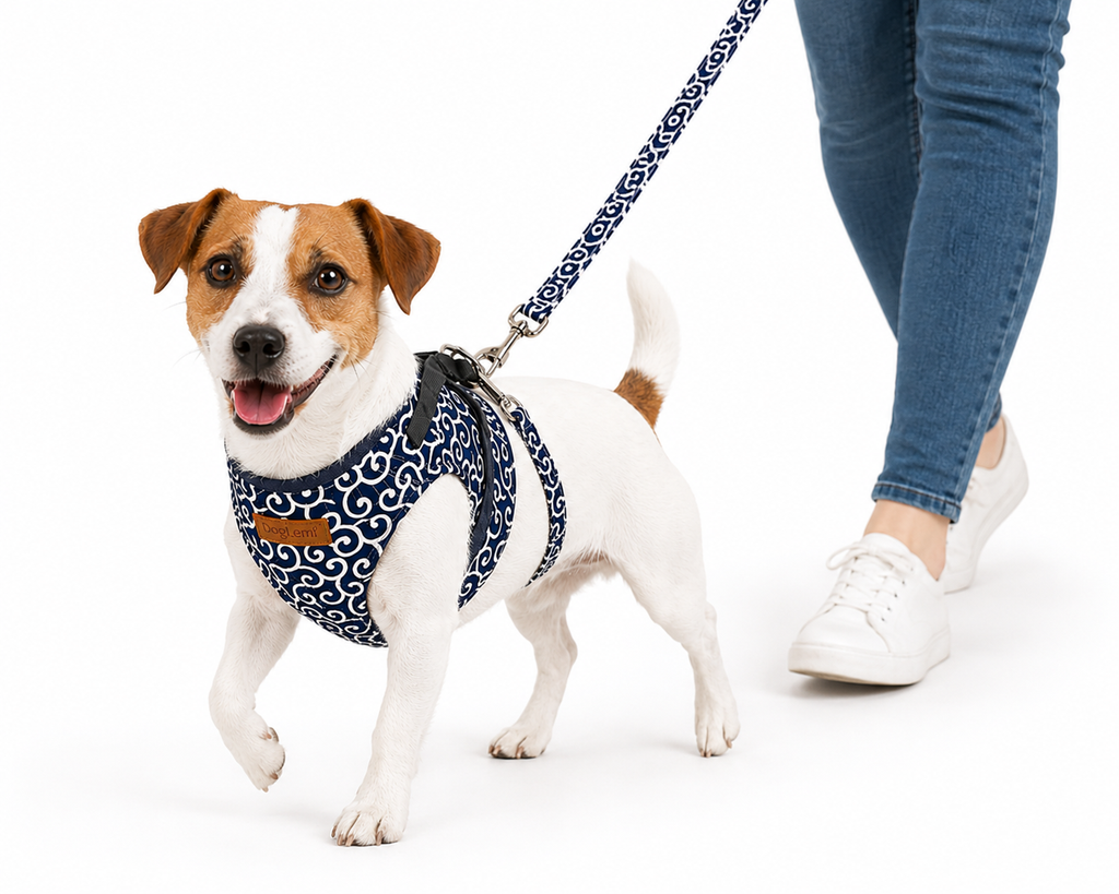 Cat And Small Dog Vest Harness With Leash Set - PawPals