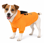 Halloween Pet Sweatshirt Pullover for Dogs and Cats - PawPals