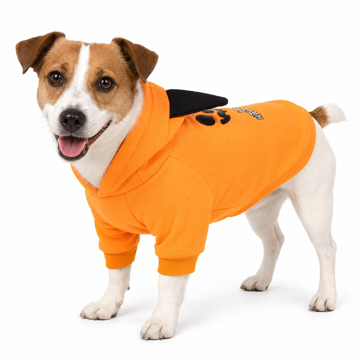 Halloween Pet Sweatshirt Pullover for Dogs and Cats - PawPals