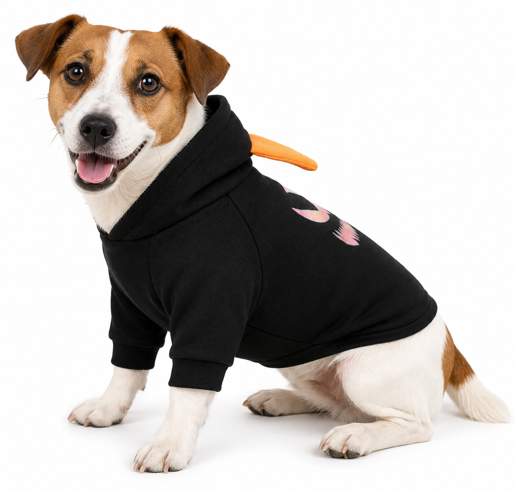 Halloween Pet Sweatshirt Pullover for Dogs and Cats - PawPals