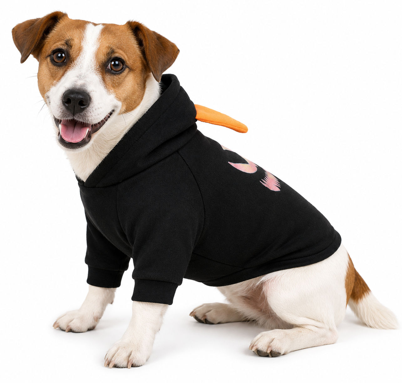 Halloween Pet Sweatshirt Pullover for Dogs and Cats - PawPals