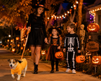 Halloween Pet Sweatshirt Pullover for Dogs and Cats - PawPals