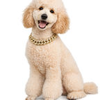 Hip Hop Chain Collar Necklace For Dogs And Cats - PawPals