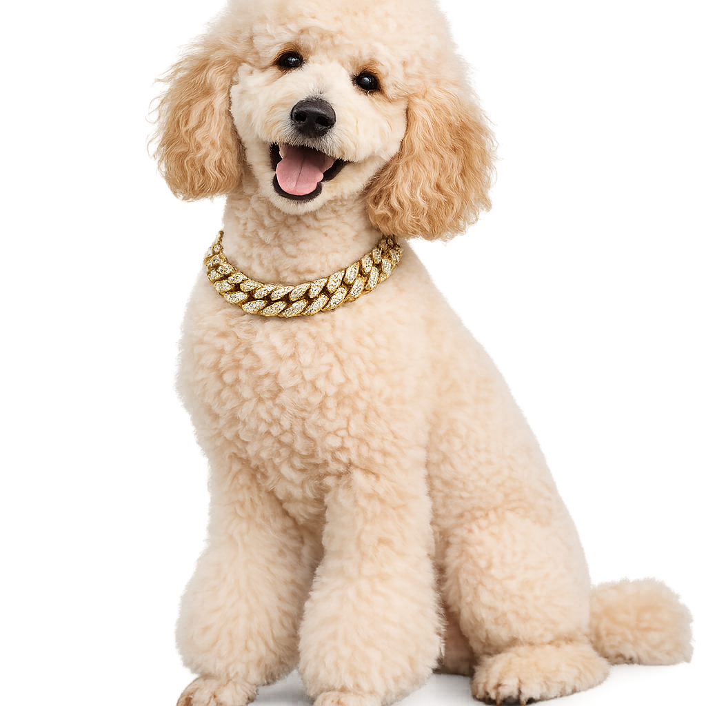 Hip Hop Chain Collar Necklace For Dogs And Cats - PawPals