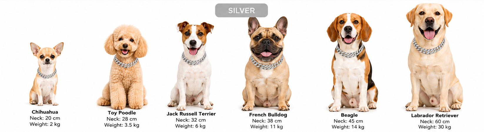Hip Hop Chain Collar Necklace For Dogs And Cats - PawPals
