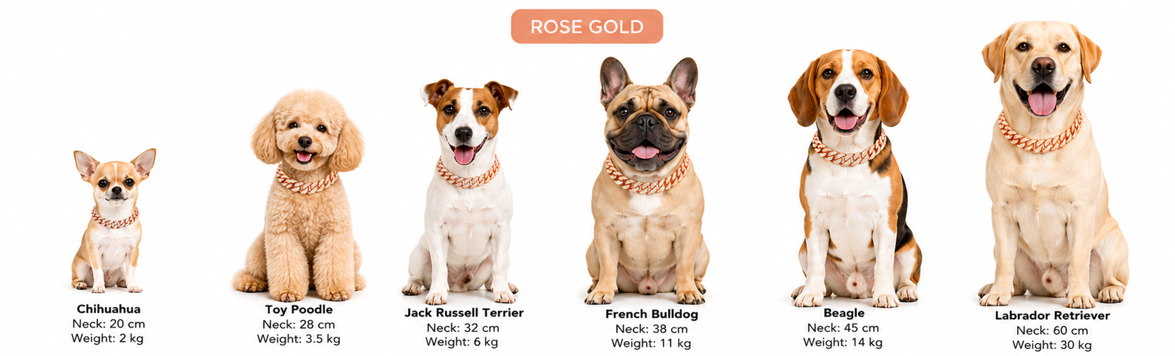 Hip Hop Chain Collar Necklace For Dogs And Cats - PawPals