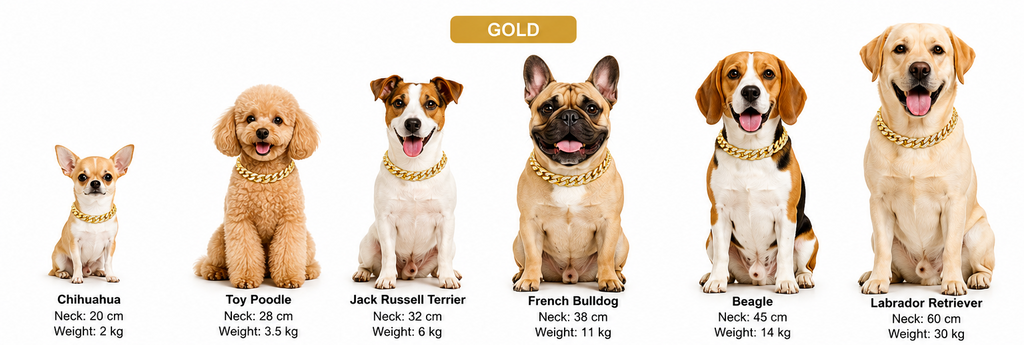 Hip Hop Chain Collar Necklace For Dogs And Cats - PawPals