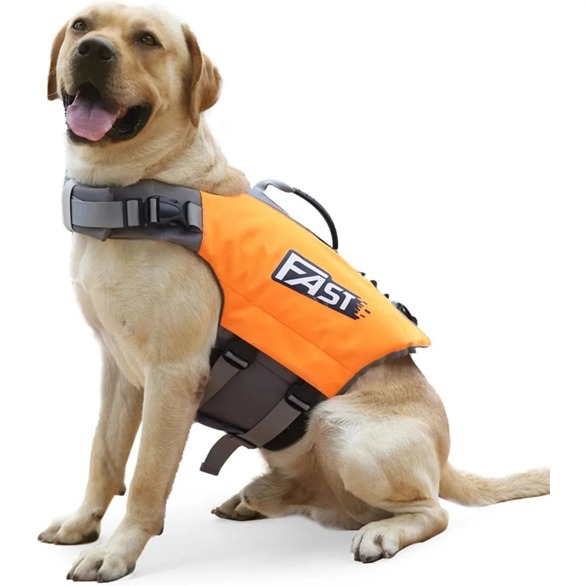 Adjustable Dog Life Jacket – Buoyant Safety Vest - PawPals