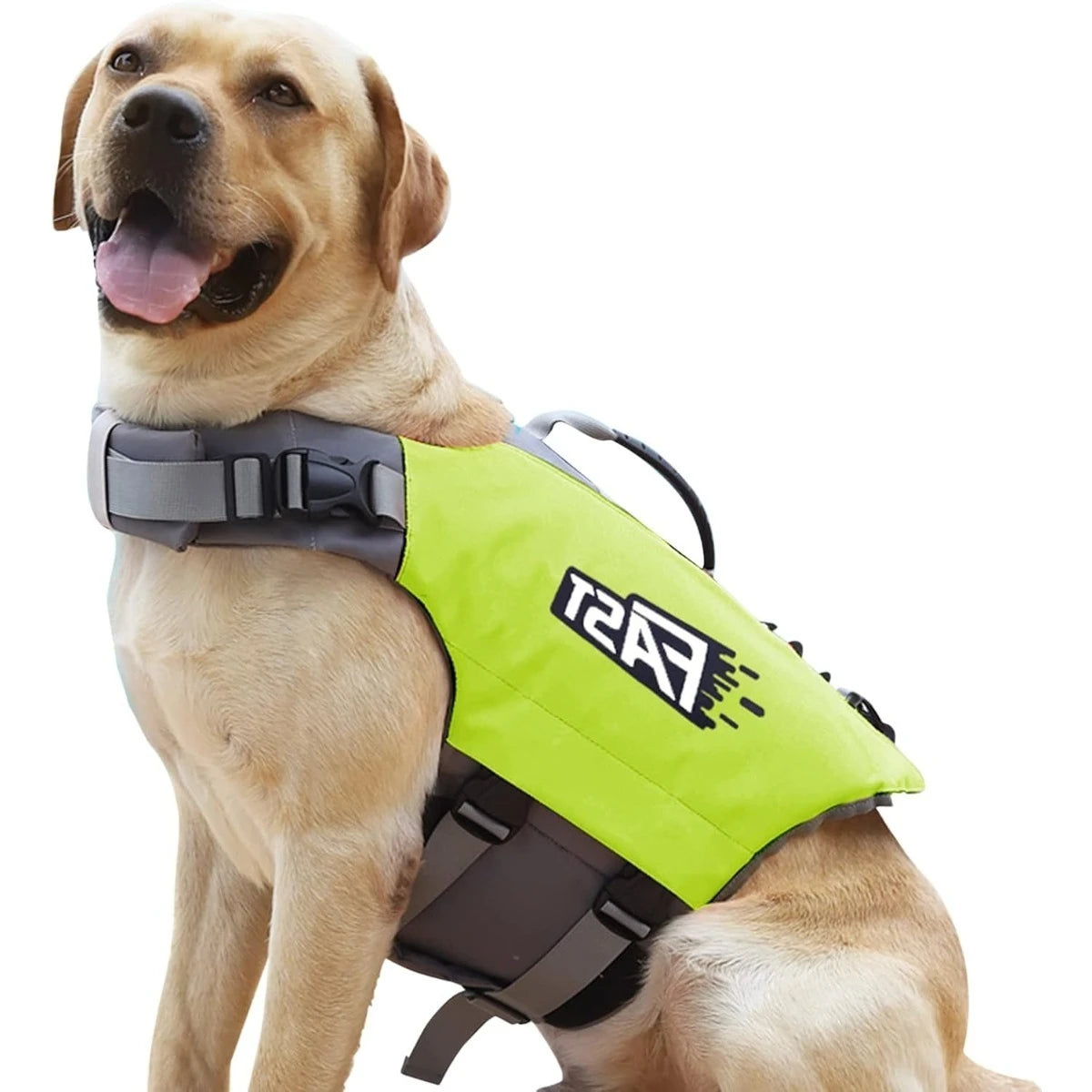 Adjustable Dog Life Jacket – Buoyant Safety Vest - PawPals