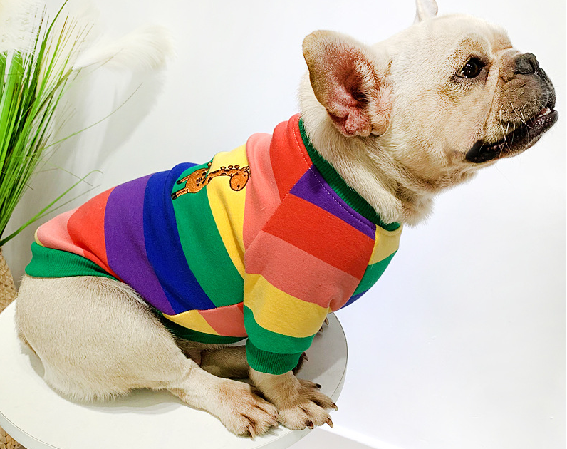 Rainbow Fleece Pet Sweater – Thick Warm Dog Hoodie - PawPals