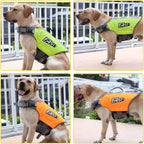 Adjustable Dog Life Jacket – Buoyant Safety Vest - PawPals