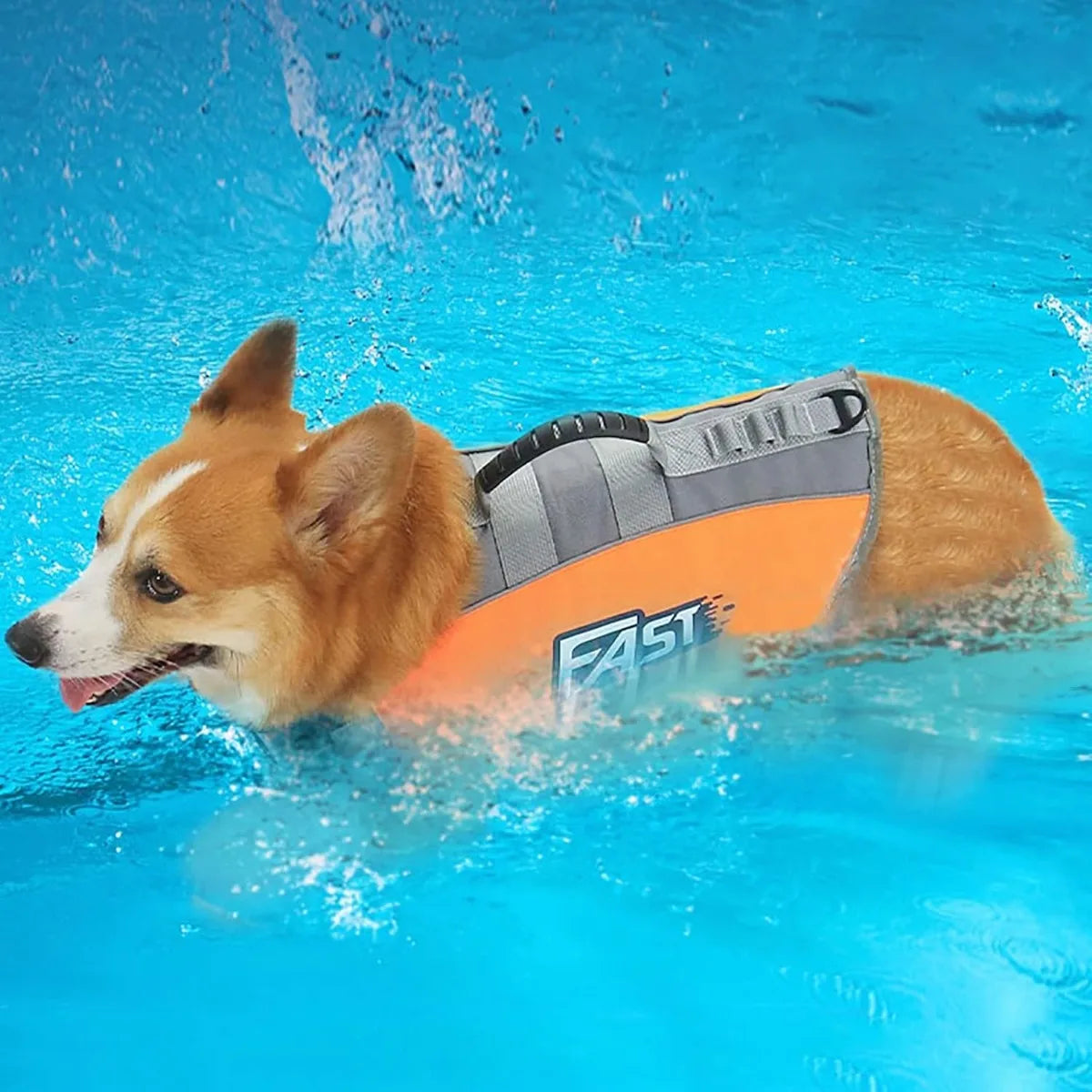 Adjustable Dog Life Jacket – Buoyant Safety Vest - PawPals